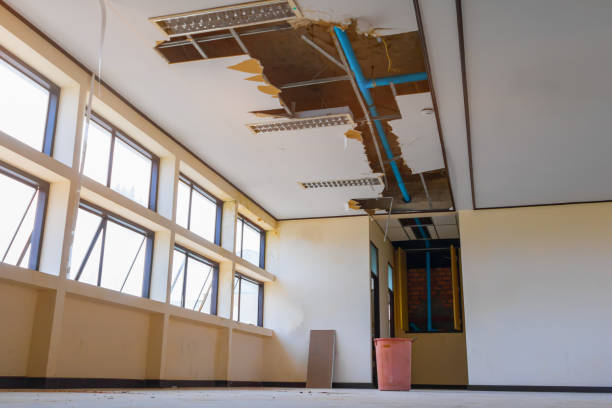 Best Water damage restoration near me  in Hillcrest, CA