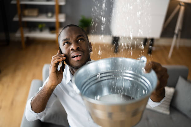 Best Ceiling water damage repair  in Hillcrest, CA
