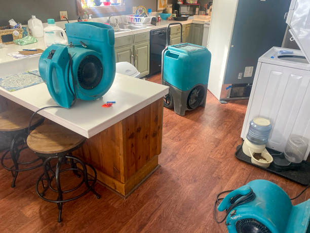 Best Water damage repair service  in Hillcrest, CA