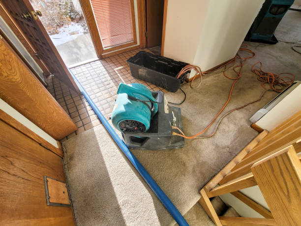 Best Professional water damage repair  in Hillcrest, CA