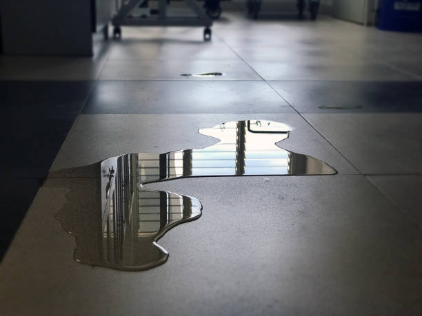 Best Commercial water damage restoration  in Hillcrest, CA