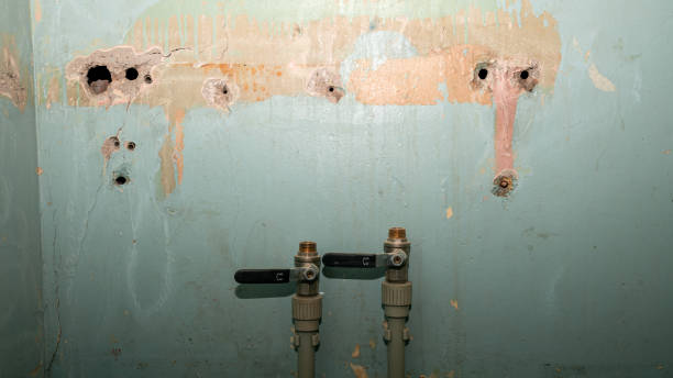 Best Flooded house restoration  in Hillcrest, CA