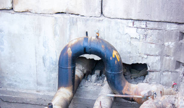 Best Water damage restoration mold remediation  in Hillcrest, CA