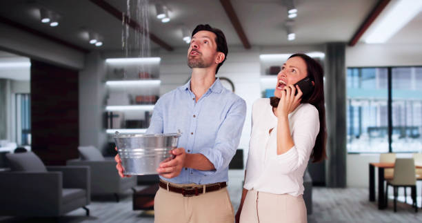 Best 24-hour water damage restoration  in Hillcrest, CA